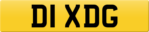 D1XDG