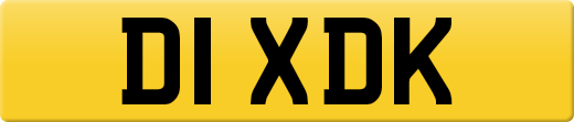 D1XDK