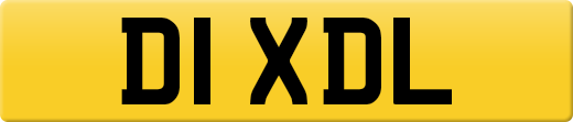 D1XDL