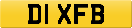D1XFB