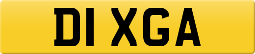 D1XGA