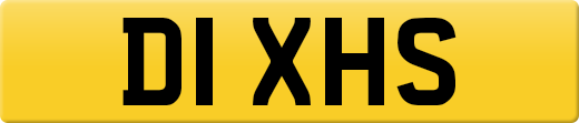 D1XHS