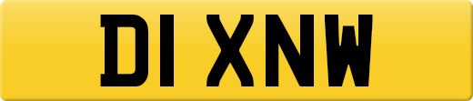 D1XNW