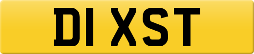 D1XST