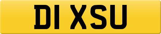 D1XSU