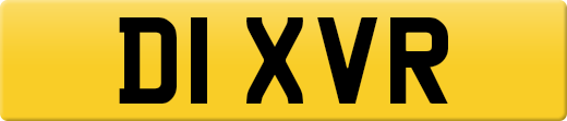 D1XVR