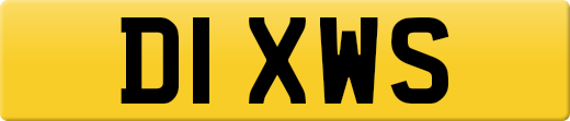 D1XWS