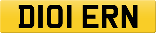 D101ERN