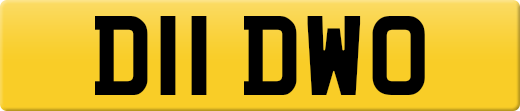 D11DWO
