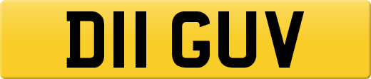 D11GUV