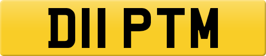 D11PTM