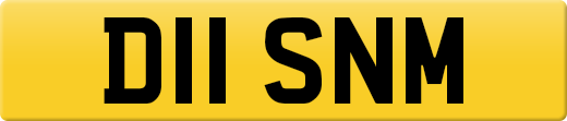 D11SNM