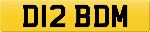 D12BDM
