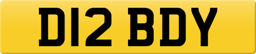D12BDY
