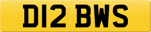 D12BWS