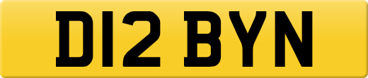D12BYN