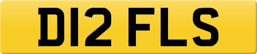 D12FLS