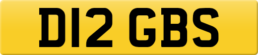 D12GBS