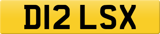 D12LSX