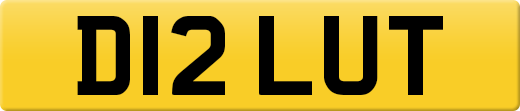 D12LUT