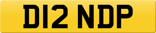 D12NDP