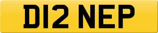 D12NEP