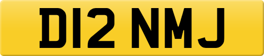 D12NMJ