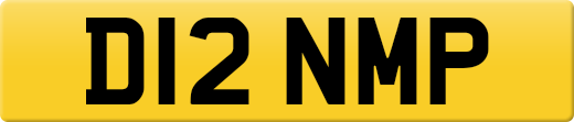 D12NMP