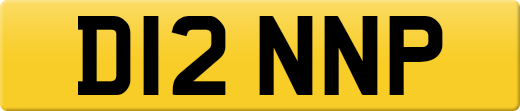 D12NNP