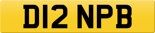 D12NPB