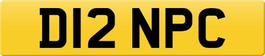 D12NPC