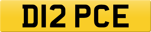 D12PCE