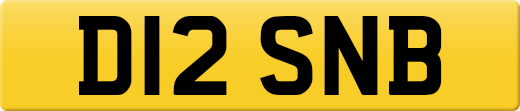 D12SNB