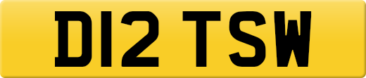 D12TSW
