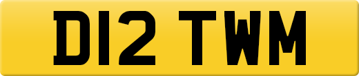D12TWM
