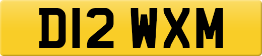 D12WXM