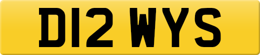 D12WYS