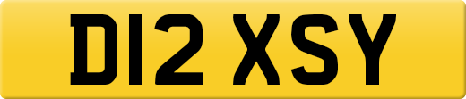 D12XSY