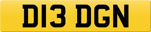 D13DGN
