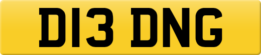 D13DNG