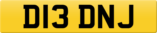 D13DNJ