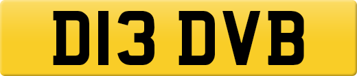 D13DVB