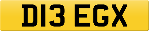 D13EGX