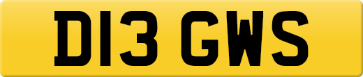D13GWS