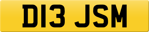 D13JSM