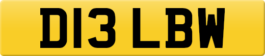 D13LBW