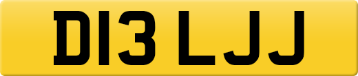 D13LJJ