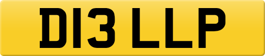 D13LLP