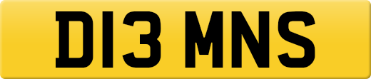 D13MNS