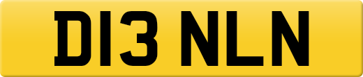 D13NLN
